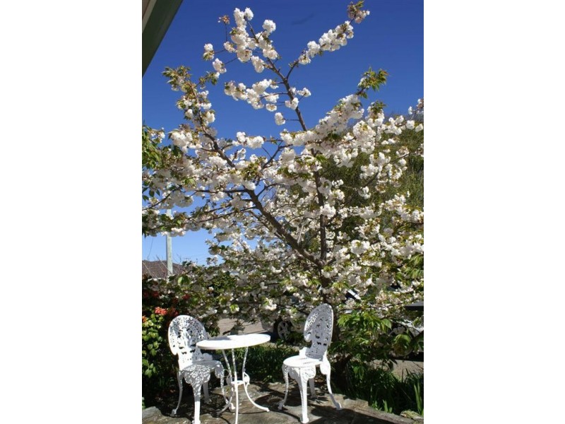 98 Queen Street, Ulverstone TAS 7315