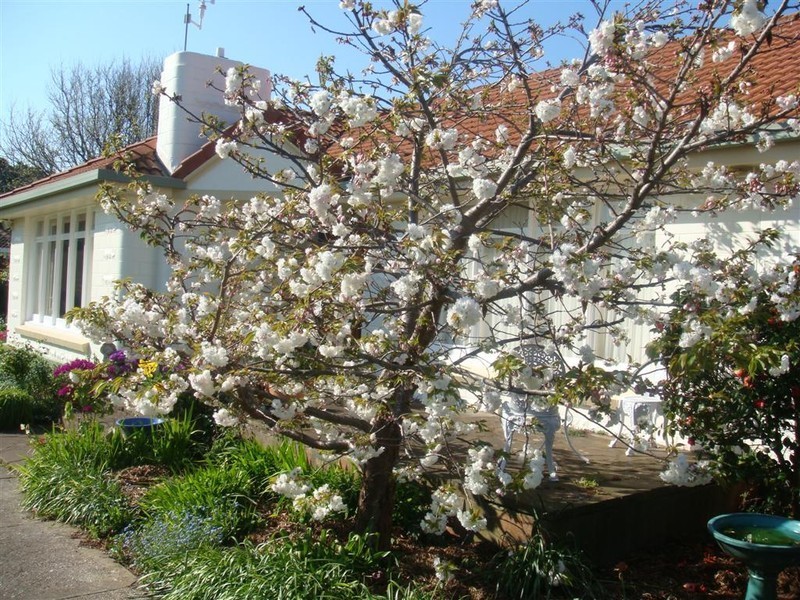 98 Queen Street, Ulverstone TAS 7315