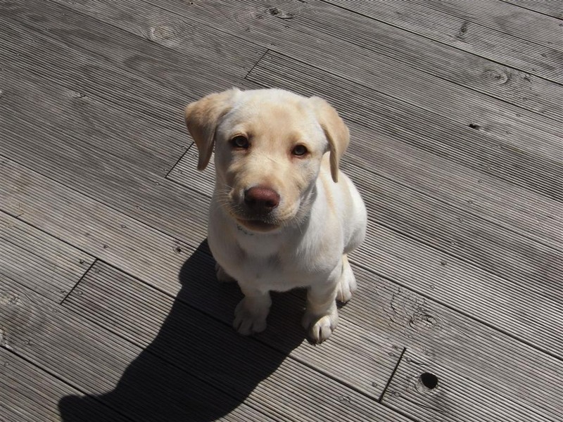 15 Burnett Crescent, Ulverstone TAS 7315