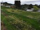 1 Southwood Avenue, Penguin TAS 7316