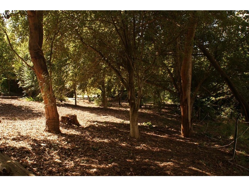 219 Pine Road, Penguin TAS 7316