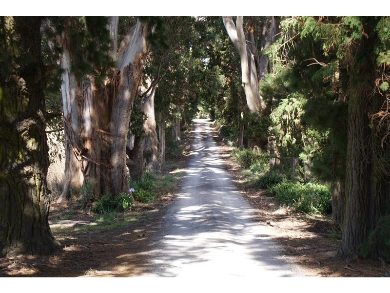 219 Pine Road, Penguin TAS 7316