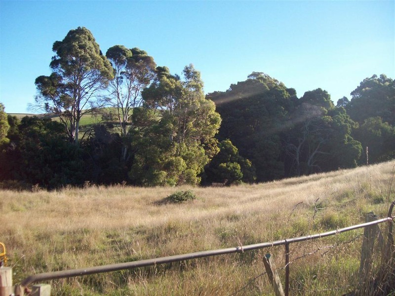 Walker Street, Forth TAS 7310