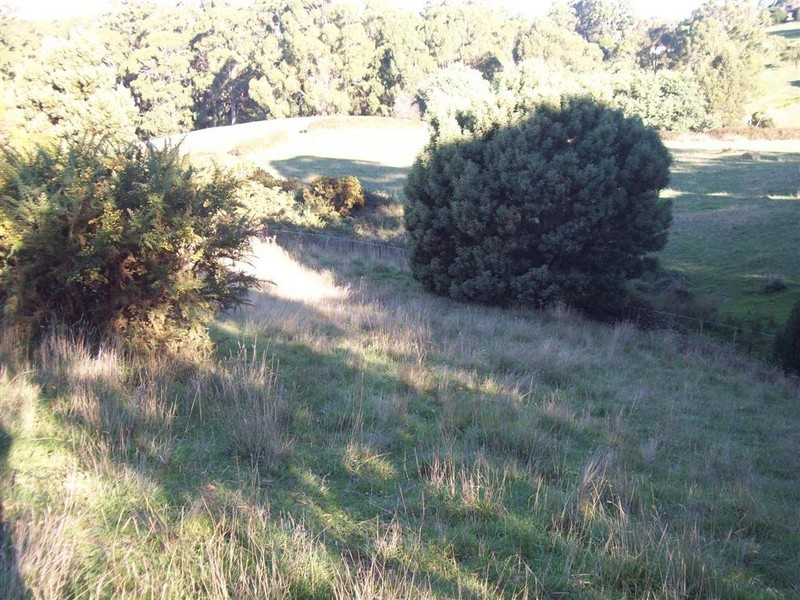 Walker Street, Forth TAS 7310