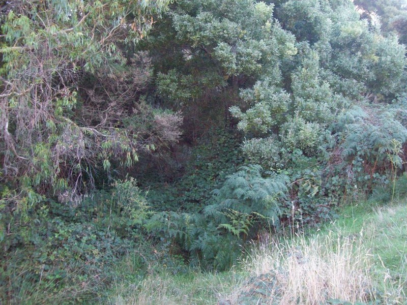 Walker Street, Forth TAS 7310