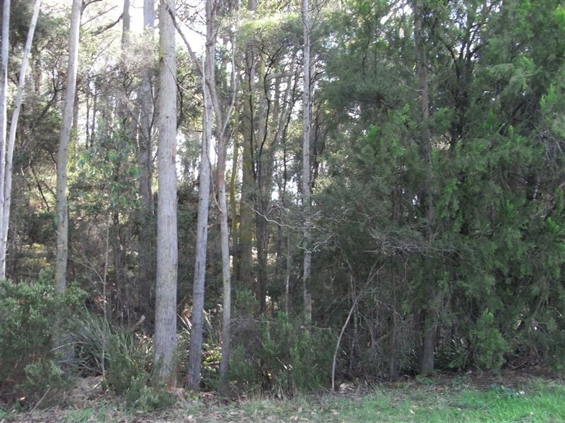 2 Knights Road, Ulverstone TAS 7315