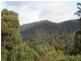 Harveys Road, North Motton TAS 7315