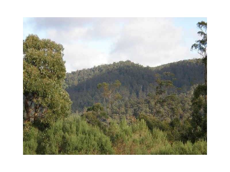 Harveys Road, North Motton TAS 7315