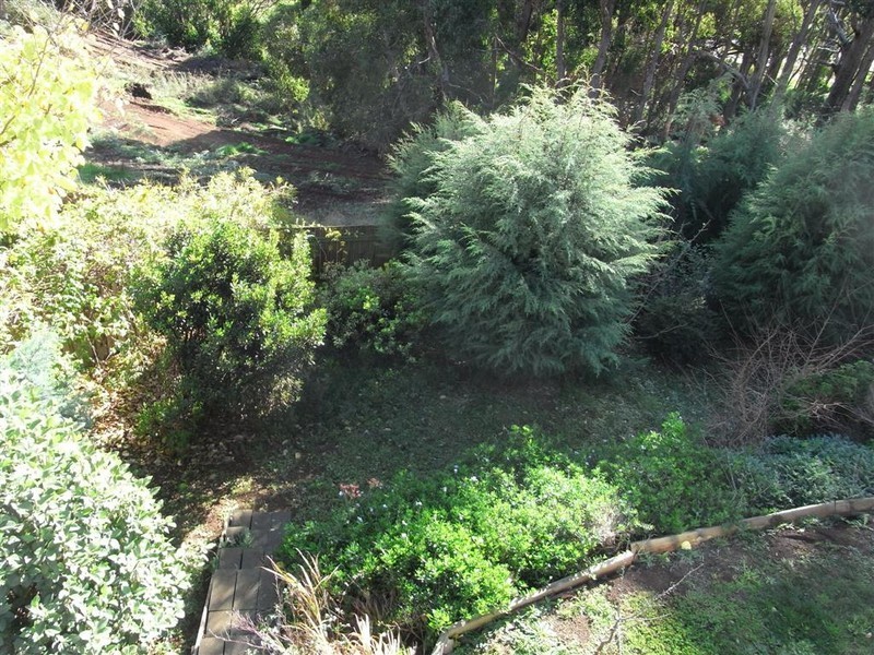 4 Westfield Court, Ulverstone TAS 7315