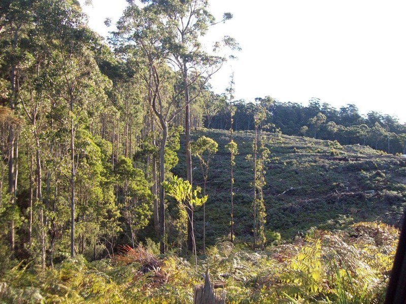 Wilmot Road, Forth TAS 7310