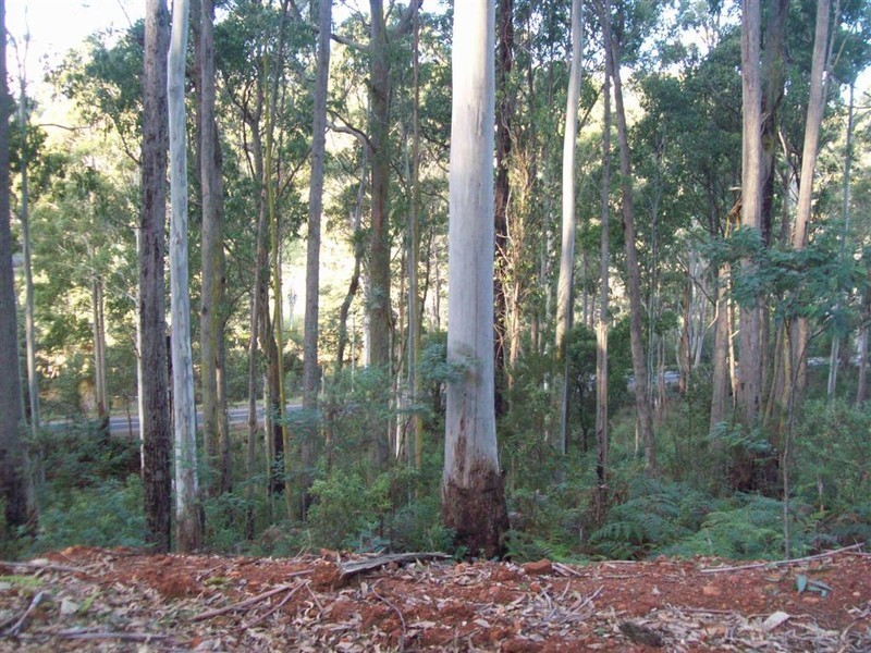 Wilmot Road, Forth TAS 7310