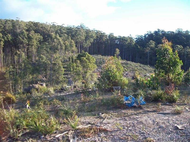 Wilmot Road, Forth TAS 7310