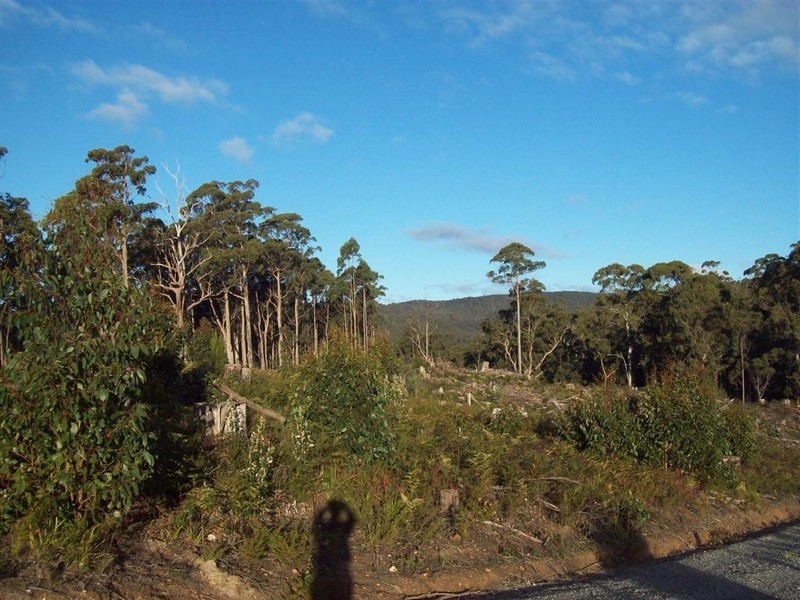 Wilmot Road, Forth TAS 7310