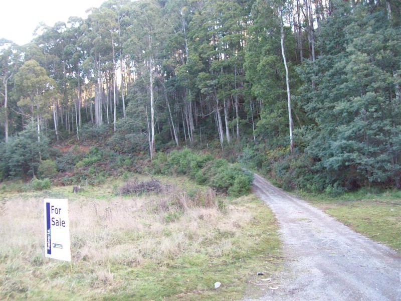 Wilmot Road, Forth TAS 7310
