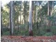 Wilmot Road, Forth TAS 7310
