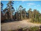 Wilmot Road, Forth TAS 7310