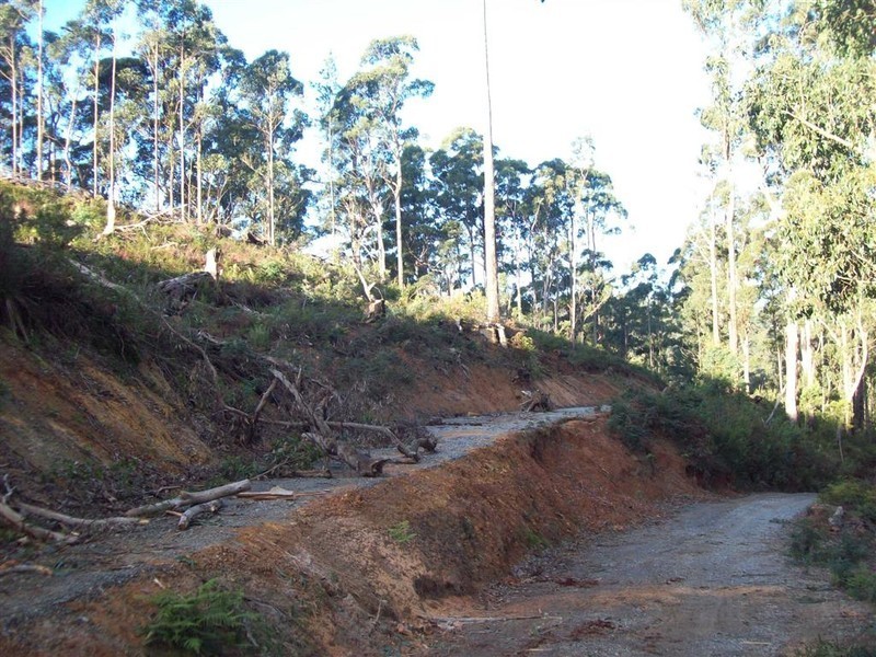 Wilmot Road, Forth TAS 7310