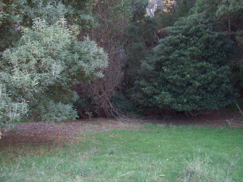 Walker Street, Forth TAS 7310