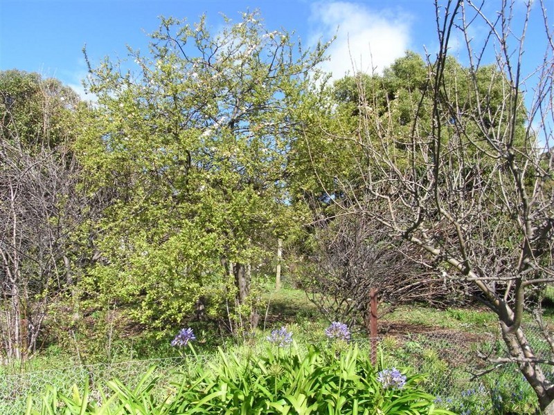 22 William Street, Ulverstone TAS 7315