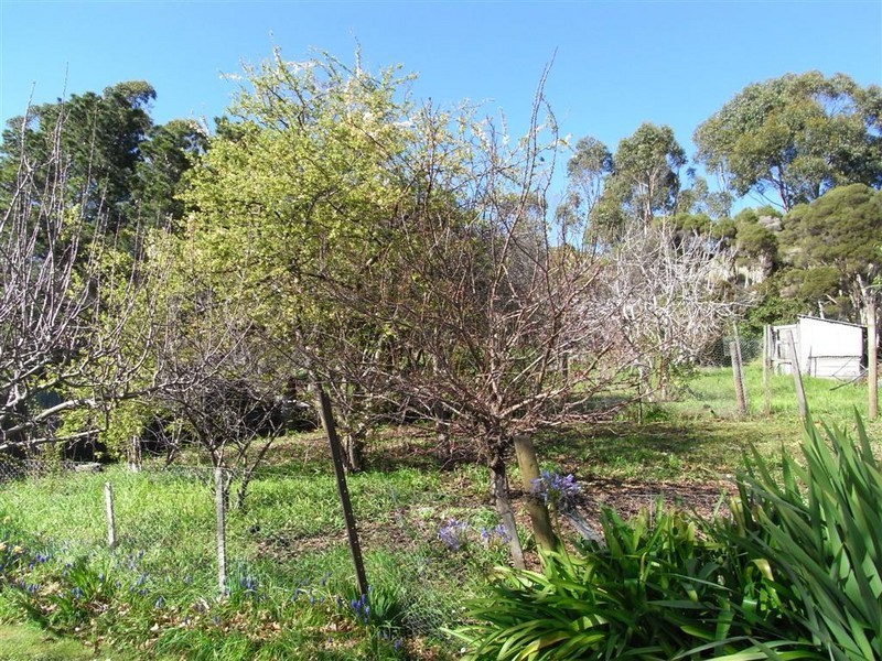 22 William Street, Ulverstone TAS 7315