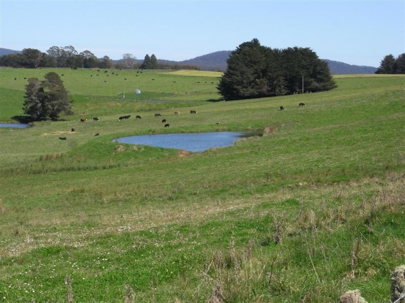 155 Spellmans Road, Upper Castra, Ulverstone TAS 7315