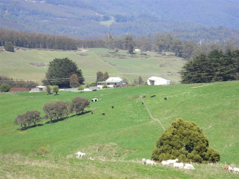 155 Spellmans Road, Upper Castra, Ulverstone TAS 7315