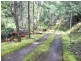 1759 Loongana Road, Loongana TAS 7315