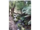 1759 Loongana Road, Loongana TAS 7315