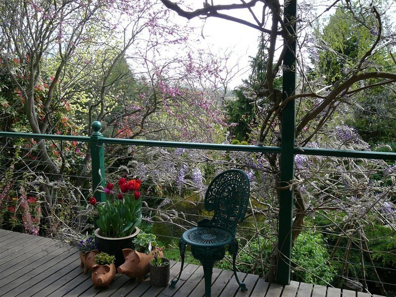 603 Forth Road, Forth, Ulverstone TAS 7315