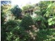603 Forth Road, Forth TAS 7310