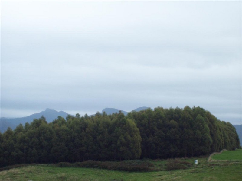 South Preston Road, Preston TAS 7315