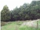 South Preston Road, Preston TAS 7315