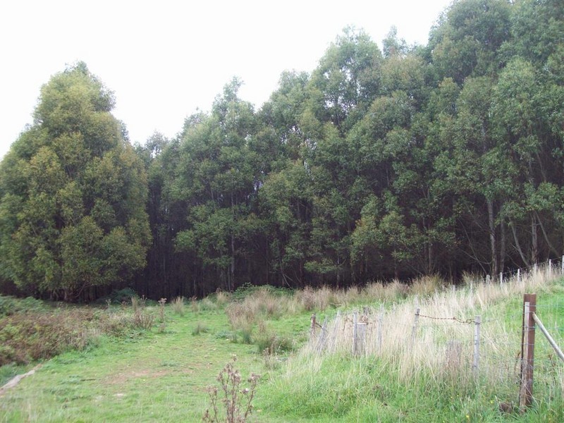 South Preston Road, Preston TAS 7315