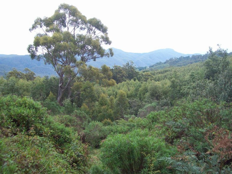 South Preston Road, Preston TAS 7315