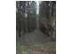 South Preston Road, Preston TAS 7315
