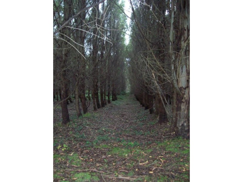 South Preston Road, Preston TAS 7315
