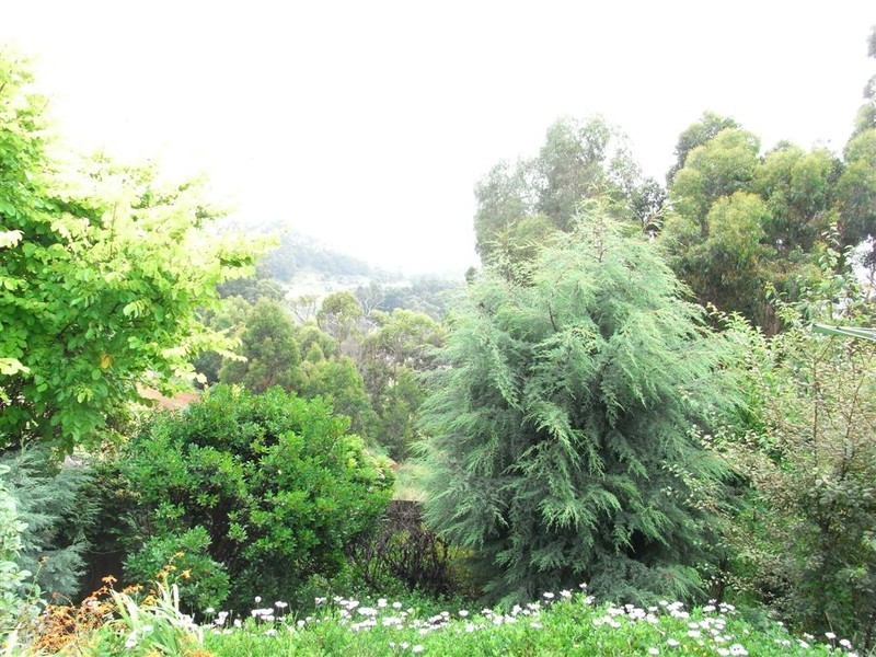 4 Westfield Court, Ulverstone TAS 7315