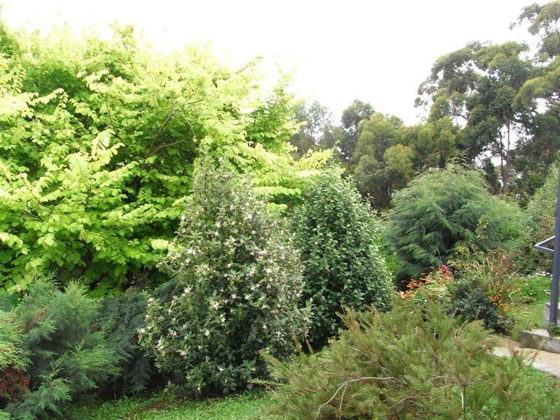 4 Westfield Court, Ulverstone TAS 7315