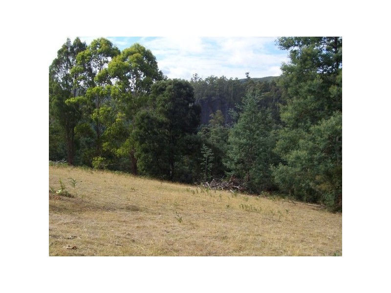 800 Lowanna Road, Gunns Plains TAS 7315