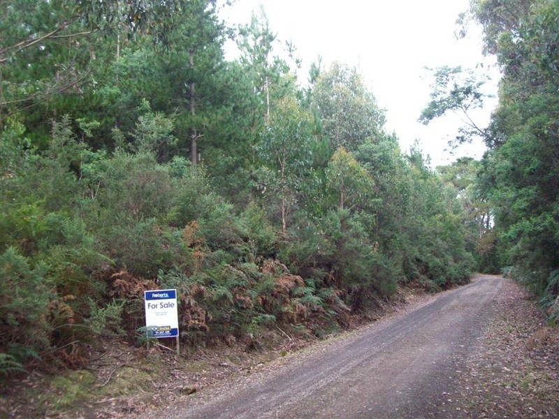 Chilcotts Road, Sprent TAS 7315