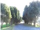 298 Stubbs Road, Forth, Ulverstone TAS 7315