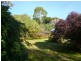 196 Allport Street East, Leith TAS 7315