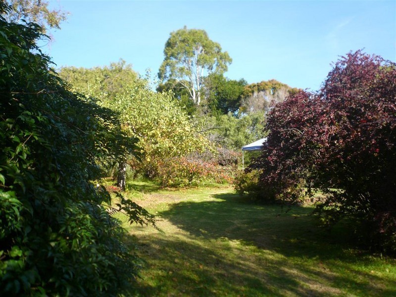 196 Allport Street East, Leith TAS 7315