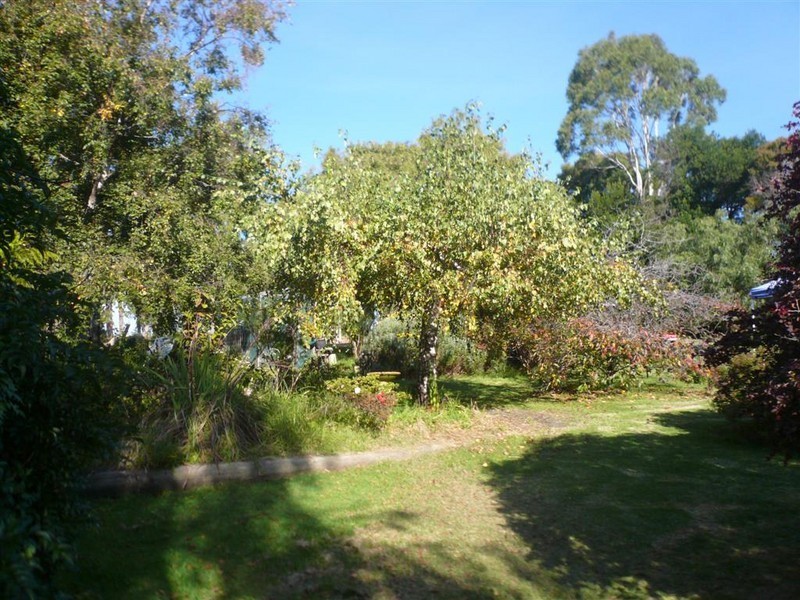 196 Allport Street East, Leith TAS 7315