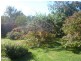 196 Allport Street East, Leith TAS 7315