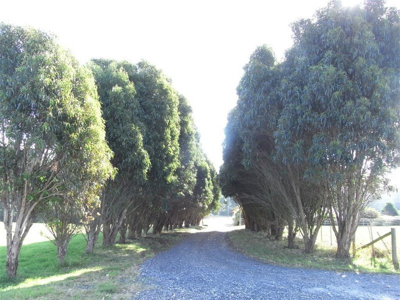 298 Stubbs Road, Forth TAS 7310