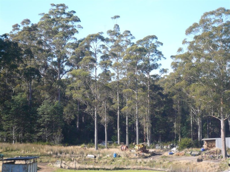 3079 Castra Road, Nietta, Ulverstone TAS 7315