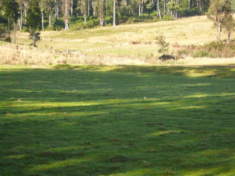 3079 Castra Road, Nietta, Ulverstone TAS 7315