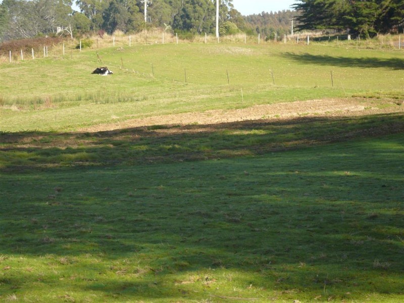 3079 Castra Road, Nietta, Ulverstone TAS 7315