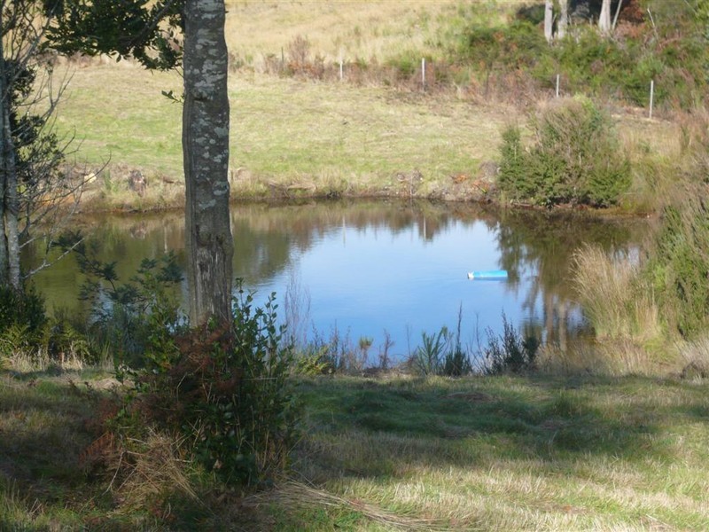 3079 Castra Road, Nietta, Ulverstone TAS 7315